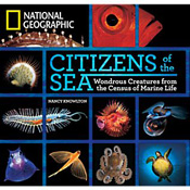 Illustration for article titled Strange Weapons of Sea Life